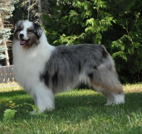 CH Kaleidoscope Artfully Done