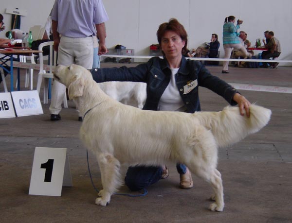 INTCH, CH IB Ashbury Lovely Lisane