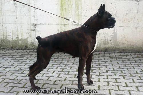 Peki del Colle dell'Infinito