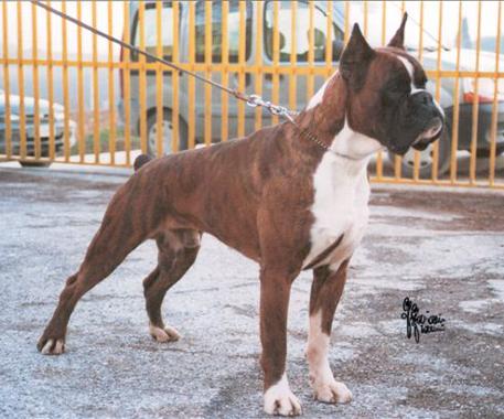 Indro del Colle dell'Infinito