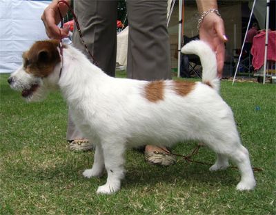 Baylock Fire and Ice