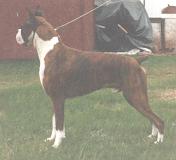 Elharlen's Winners Accolade