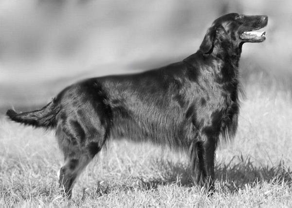 CH Rowansgaard During Wind N Rain